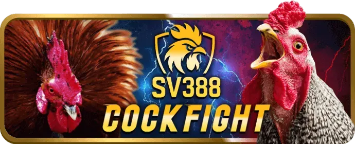 Điền Thông Tin Cá Nhân good88 story